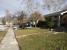 Amberjack: detached, mostly bungalows
