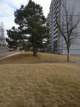 Markham: Highrise apartments