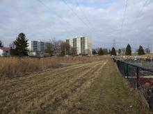 Community gardens and mixed housing