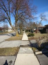 Highcourt (N): residential road