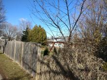 Bellamy: housing oriented away from road